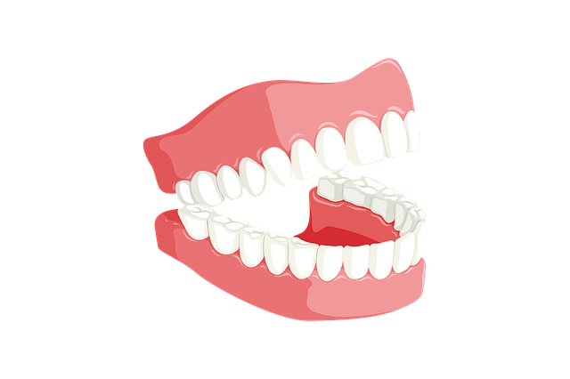 ukázka zubů